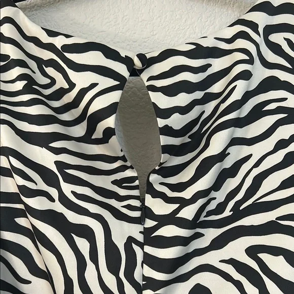 Zebra Print Sleeveless Dress - Picture 7 of 7